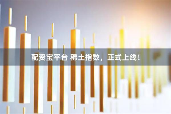 配资宝平台 稀土指数，正式上线！