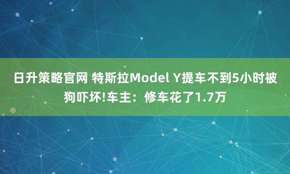 日升策略官网 特斯拉Model Y提车不到5小时被狗吓坏!车主：修车花了1.7万